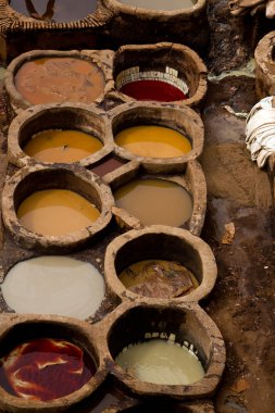 Morocco Fez Tannery 
